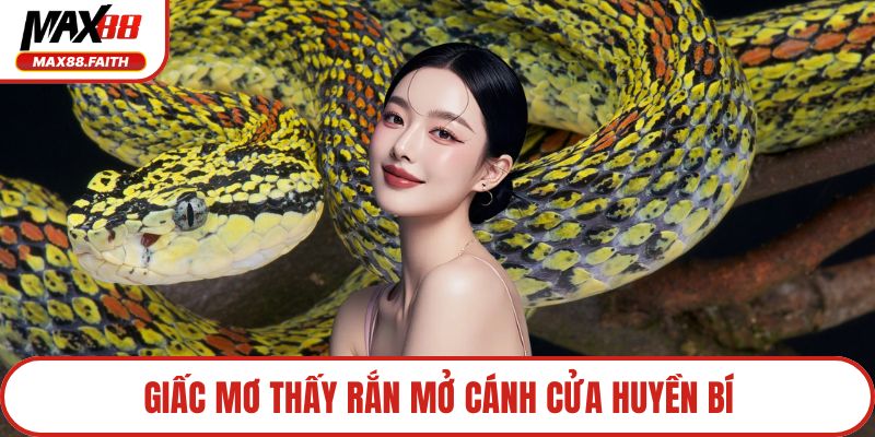 Giấc mơ thấy rắn mở cánh cửa huyền bí