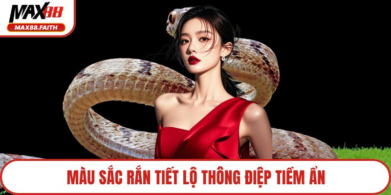 Màu sắc rắn tiết lộ thông điệp tiềm ẩn