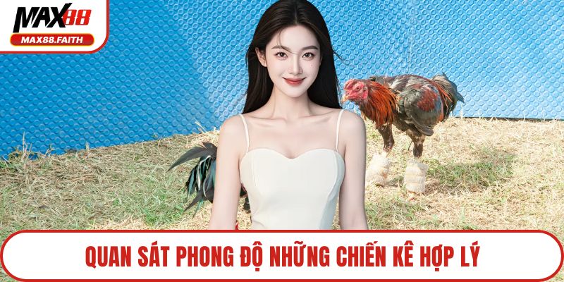 Quan sát phong độ những chiến kê hợp lý