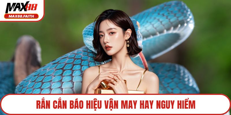 Rắn cắn báo hiệu vận may hay nguy hiểm